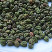 Kichererbsen Kichererbsen