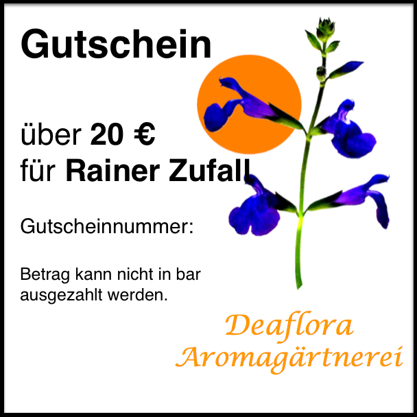 Gutscheine Gutscheine