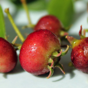 Kategoriename Kategoriename