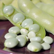 Süßlupinen Süßlupinen