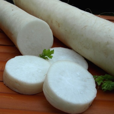 Japanischer Minowase Daikon-Rettich