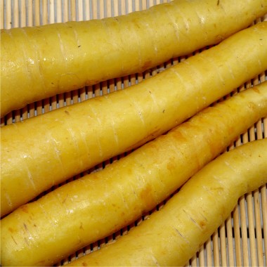M�hre Jaune de Doubs