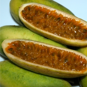 Curuba