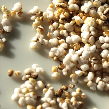 Popp-Amaranth