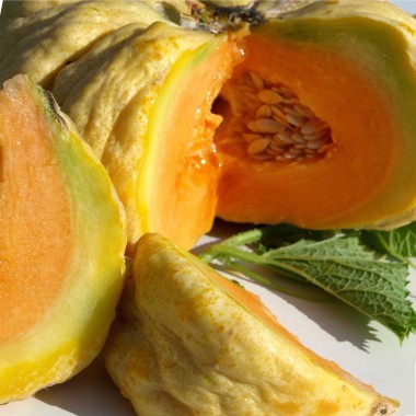 Honigmelone Prescott fond Blanc