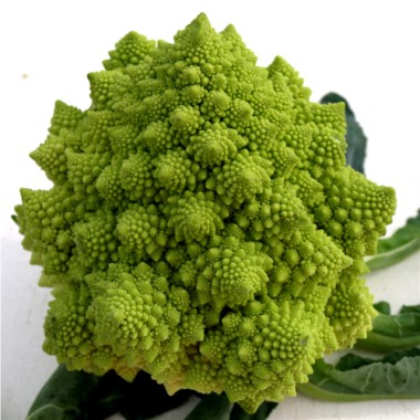 Romanesco