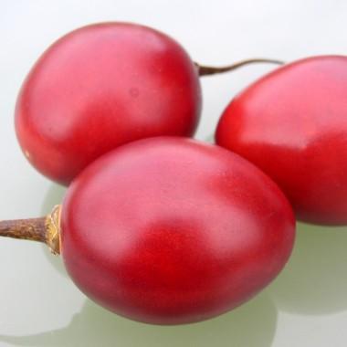 Tamarillo - Baumtomate (Samen)