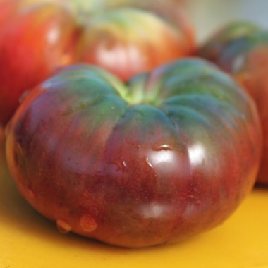Tomate Black Prince