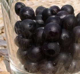 Wonderberry