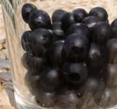 Wonderberry
