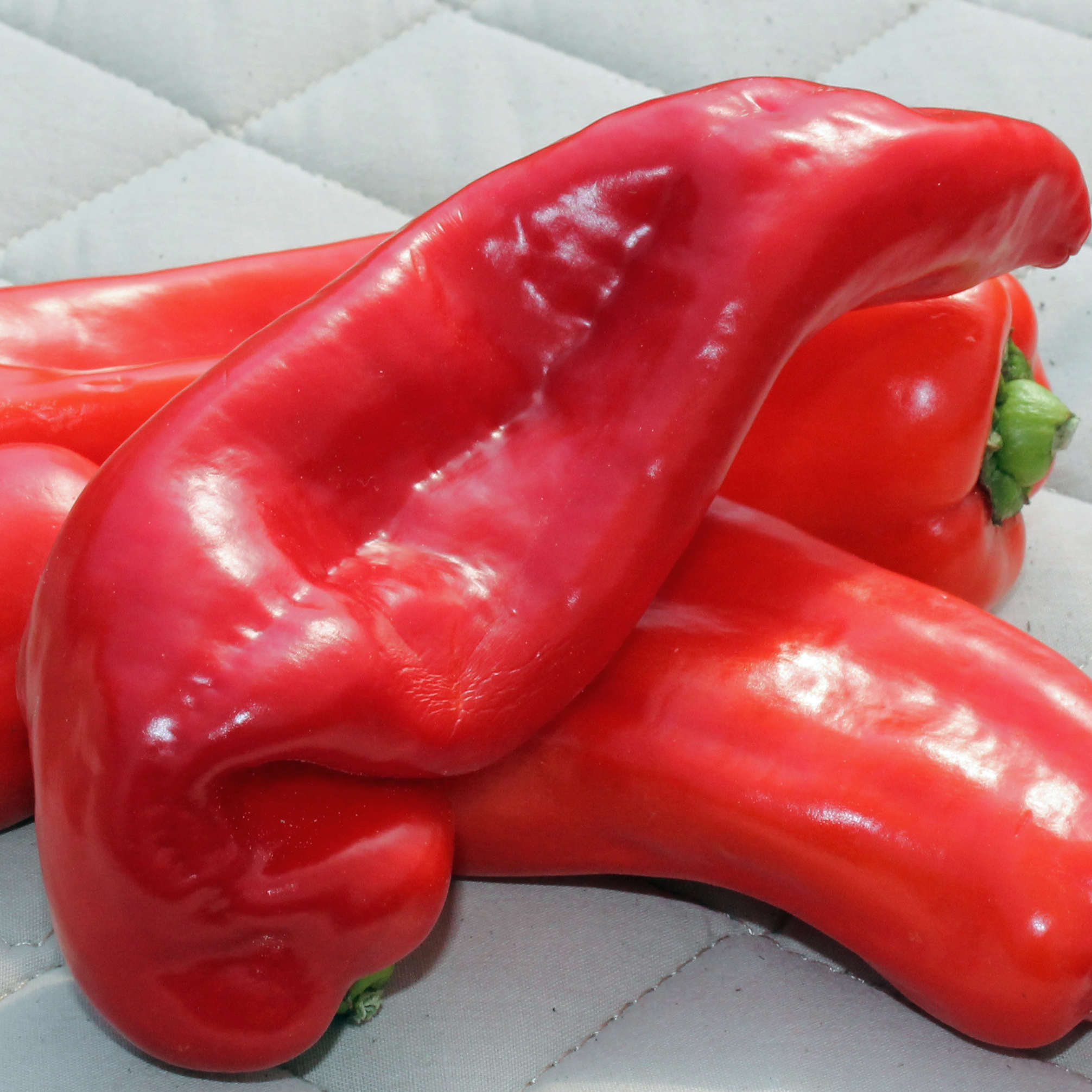 Ramiro Paprika Ramiro Paprika
