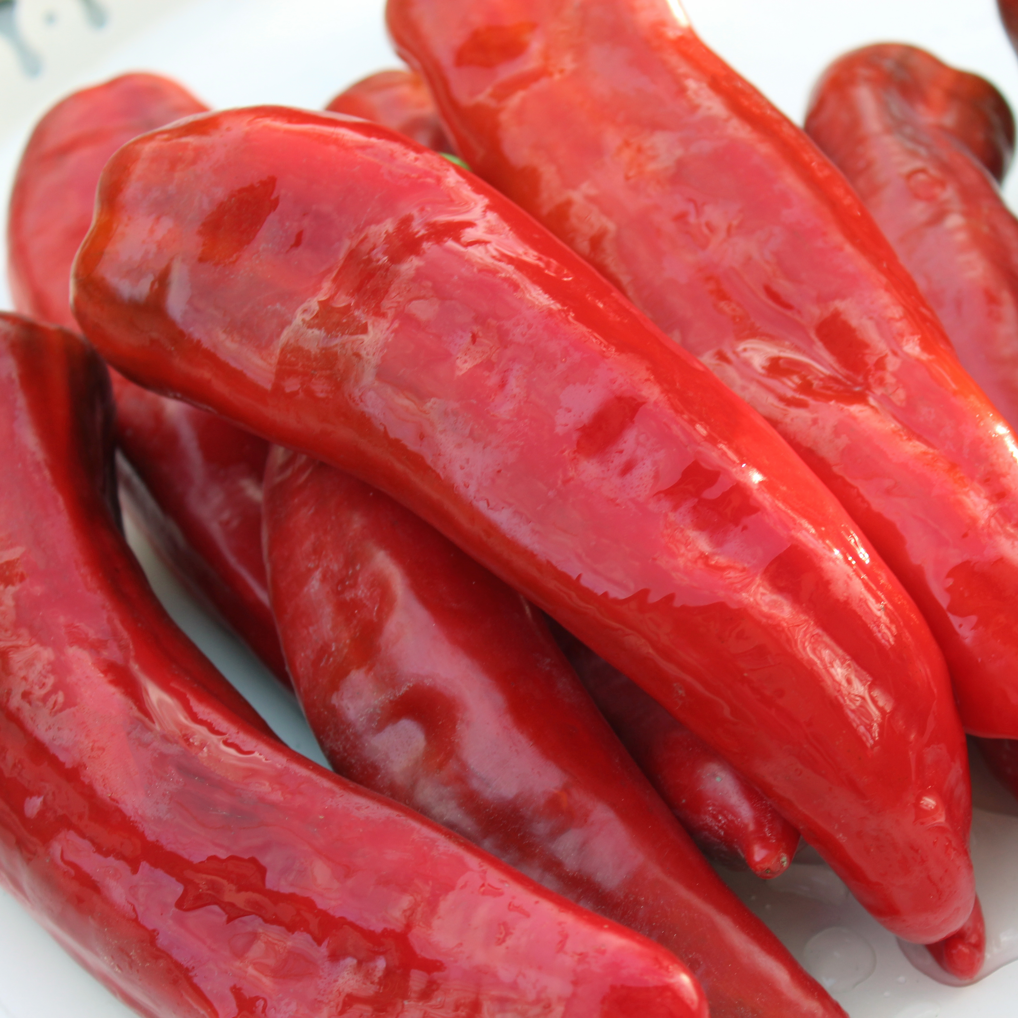 Ramiro Paprika Ramiro Paprika