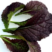 Am Choi Red Giant