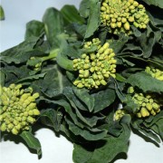Broccoli Zamboni Raab