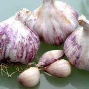 Knoblauch Germidour