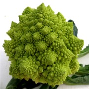 Romanesco