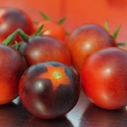 Blaue tomate Blaue tomate